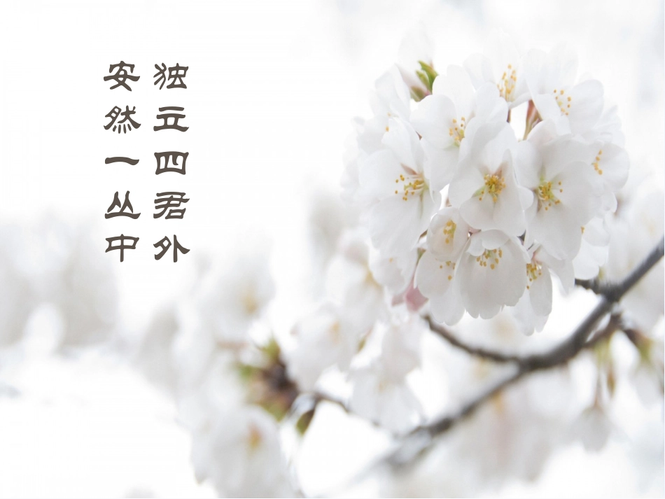 (部编)初中语文人教2011课标版七年级下册驿路梨花课件-(14)_第2页