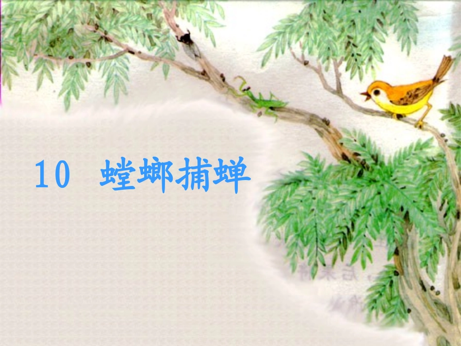 11读书要有选择_第1页