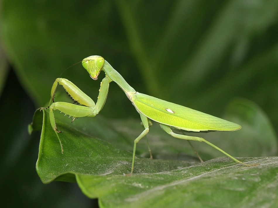 11读书要有选择_第2页