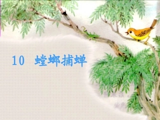 11读书要有选择