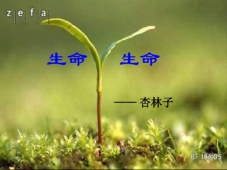 2、生命-生命