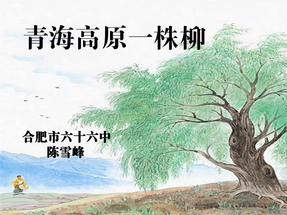 青海高原一株柳PPT_第1页