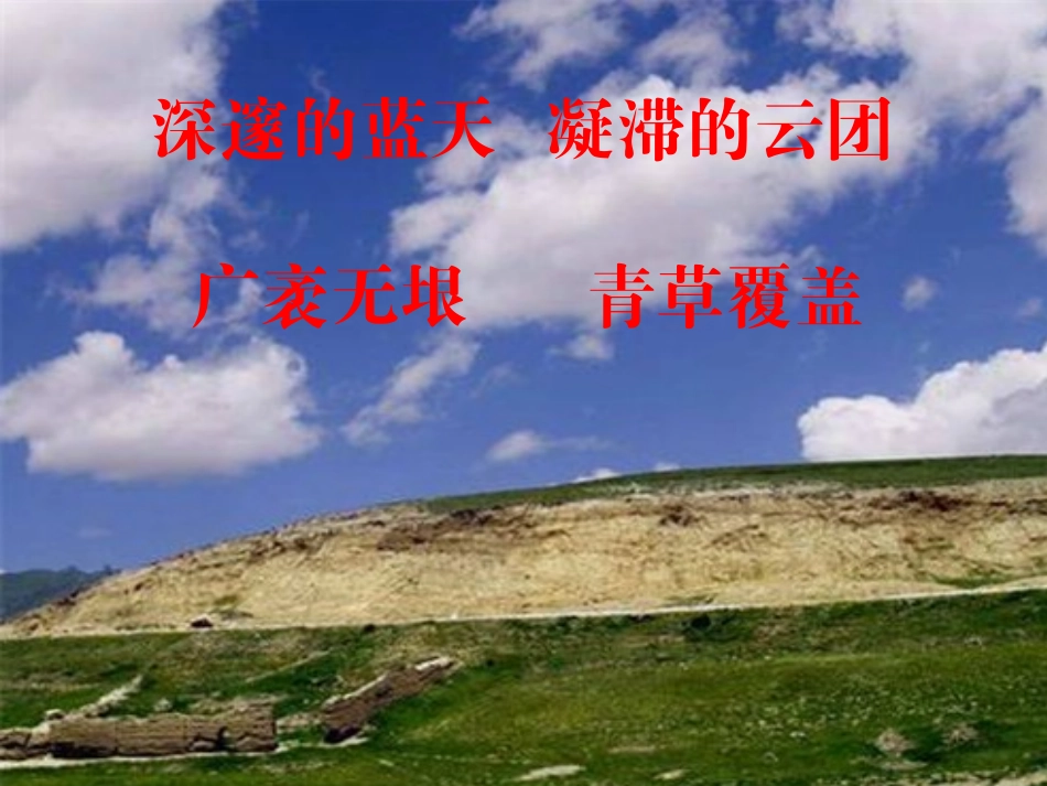 青海高原一株柳PPT_第2页