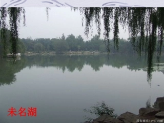 北大是我美丽羞涩的梦