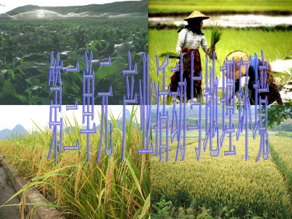 第三单元(1)农业生产与地理环境(课件)_第1页