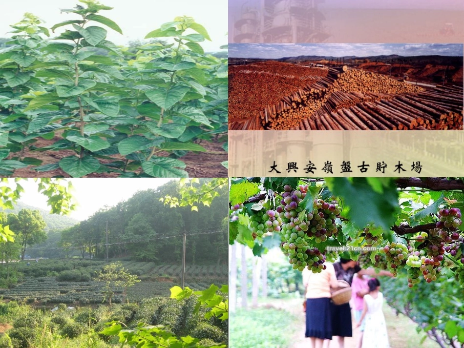 第三单元(1)农业生产与地理环境(课件)_第3页