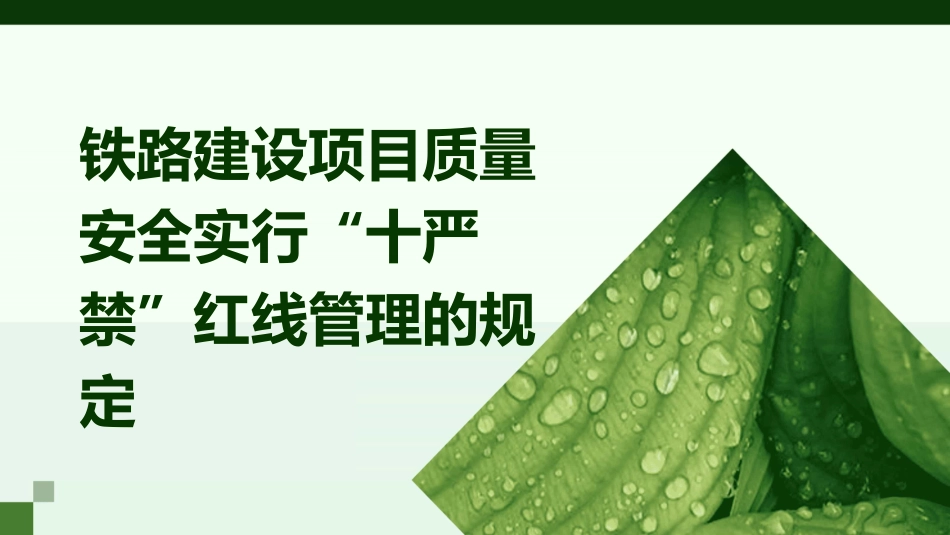铁路建设项目质量安全实行“十严禁”红线管理的规定课件_第1页