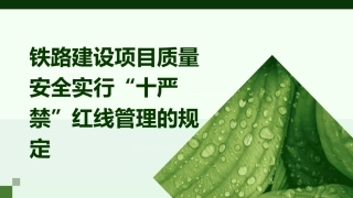 铁路建设项目质量安全实行“十严禁”红线管理的规定课件