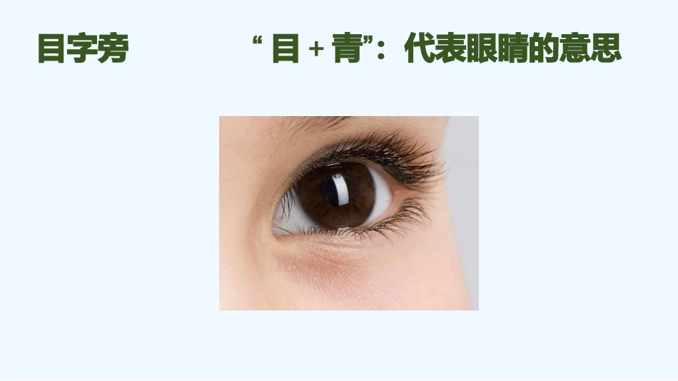 (部编)人教语文2011课标版一年级下册小青蛙-第二课时_第3页