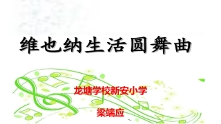 8-维也纳生活圆舞曲