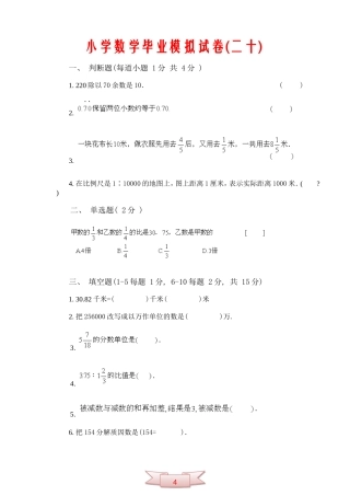 小学数学毕业模拟试卷(二十)