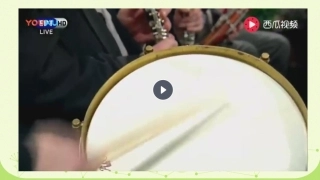 第九十四(“惊愕”)交响曲(第二乐章)-(3)