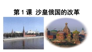 第1课沙皇俄国的改革