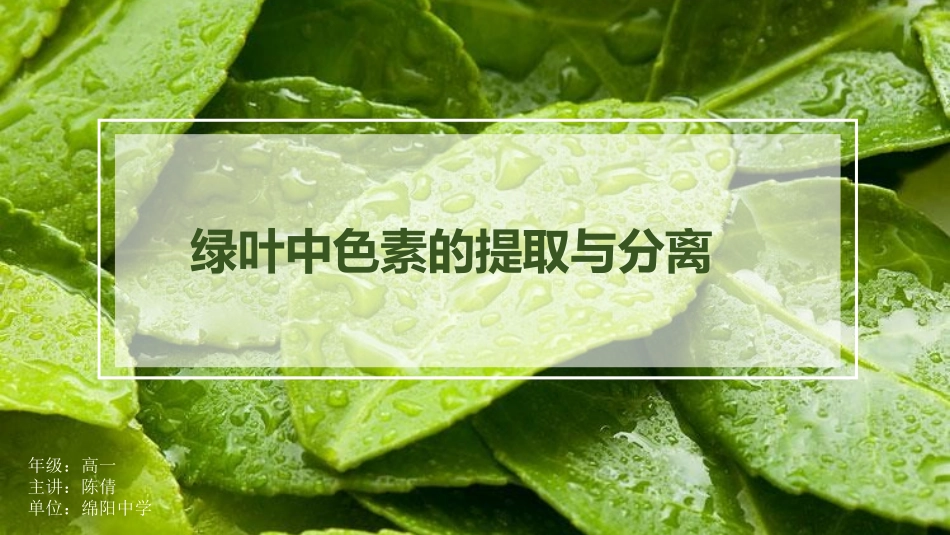 第三节光能的捕获和利用_第1页