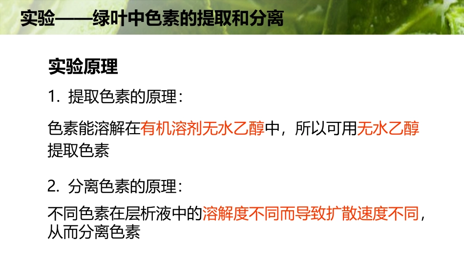 第三节光能的捕获和利用_第2页