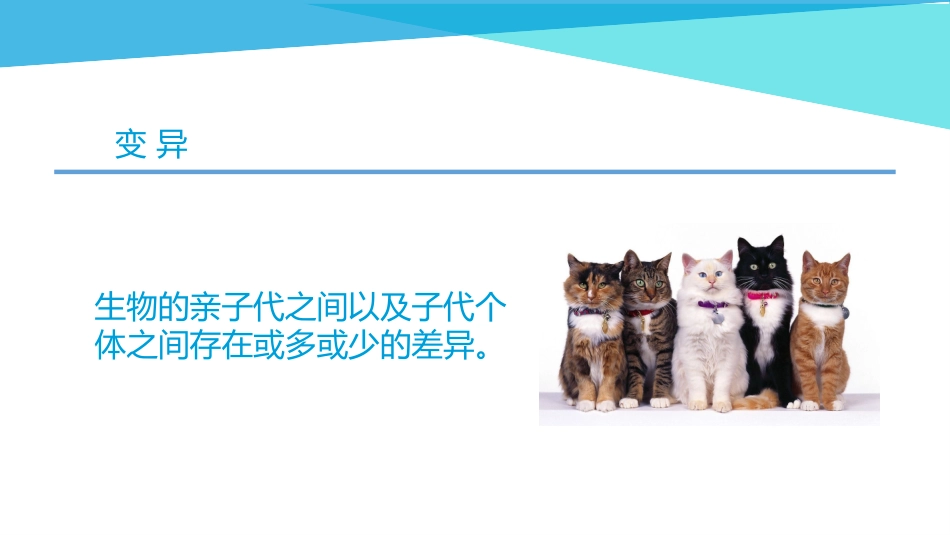 第1节基因突变_第2页