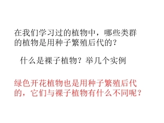 4、被子植株