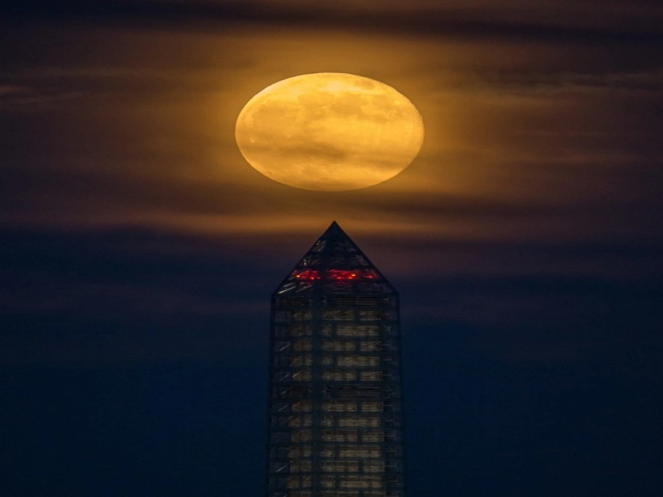 小学人教四年级数学三位数乘两位数-(17)_第2页