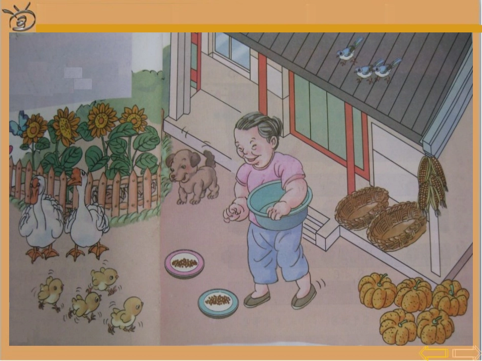 小学数学人教2011课标版一年级1--5的认识-(3)_第3页