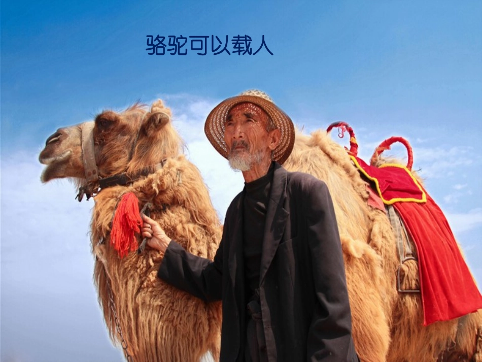 【素材】《爱护动植物》动物(鲁人版)_第2页