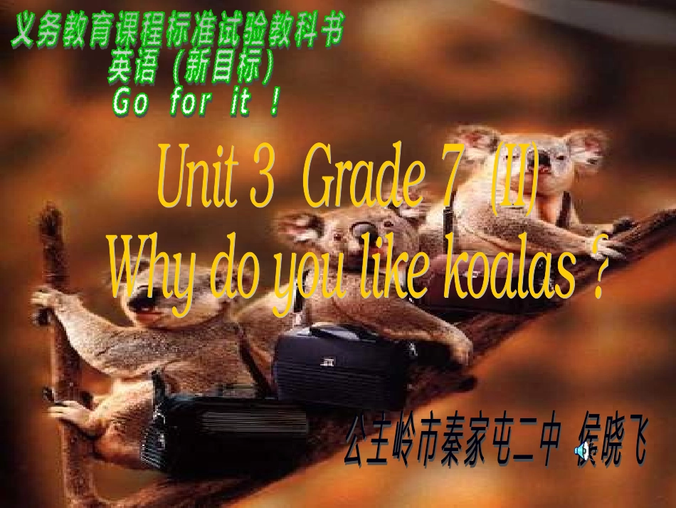 Whydoyoulikekoalas？_第1页