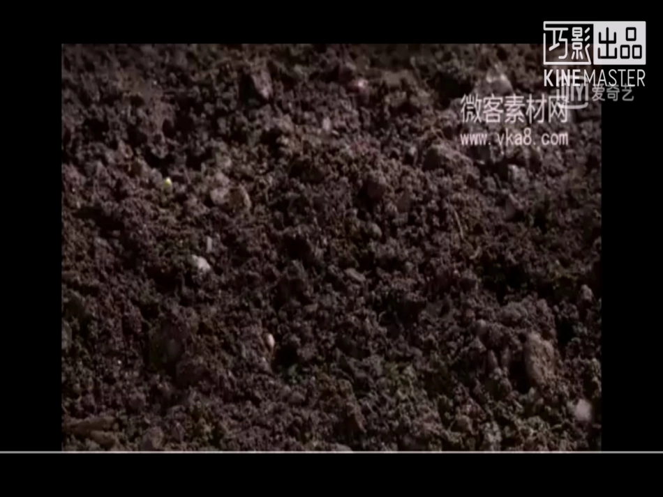 10周围的生物_第2页
