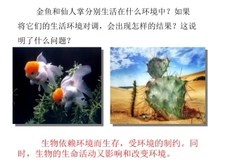第1节生物的生存依赖一定的环境