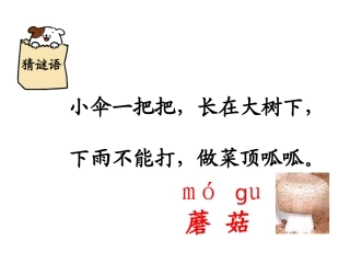 6蘑菇该奖给谁1
