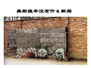 奥斯维辛没有什么新闻2