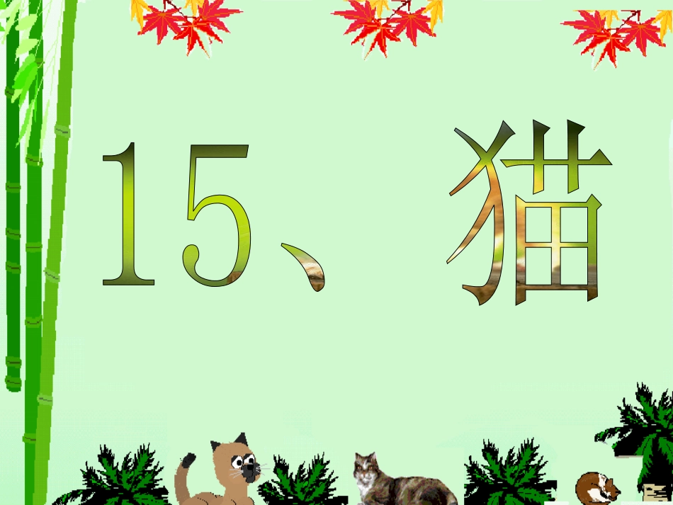 15猫-课件_第1页