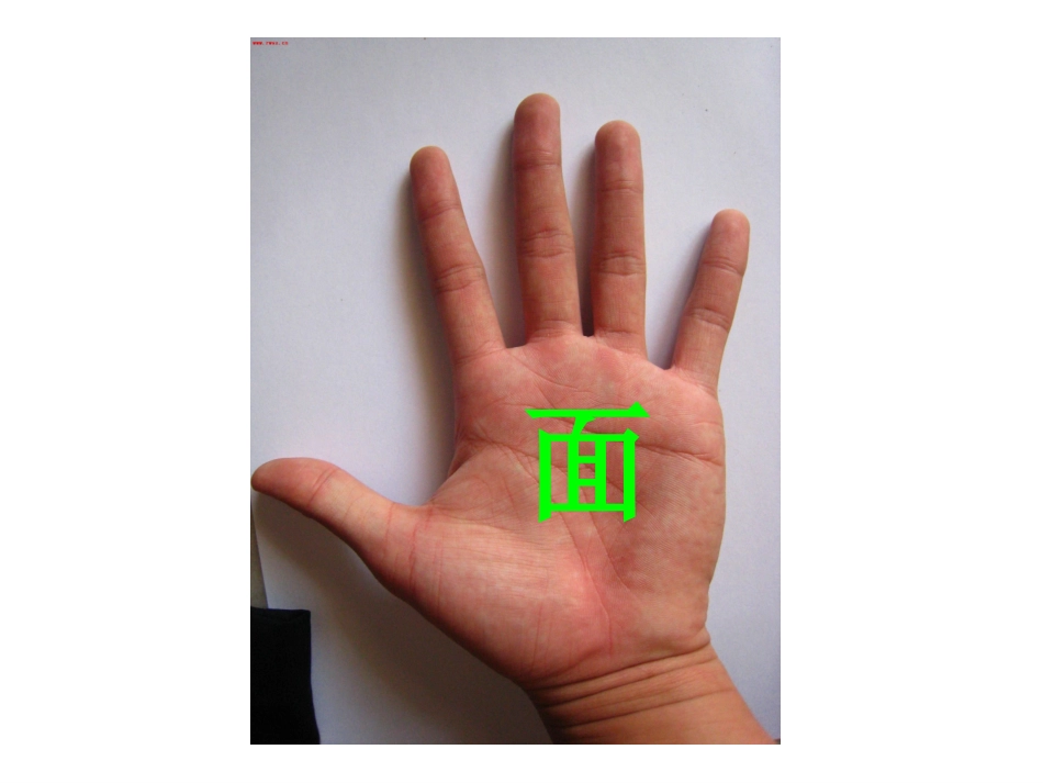 面积和面积单位1-(3)_第2页