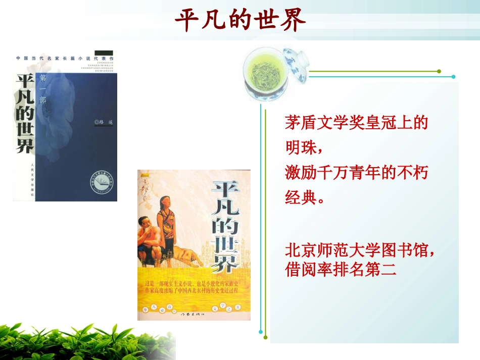 平凡的世界读后感ppt模板_第2页