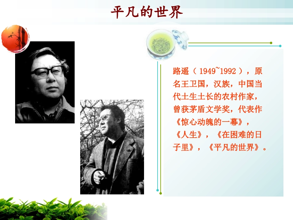 平凡的世界读后感ppt模板_第3页