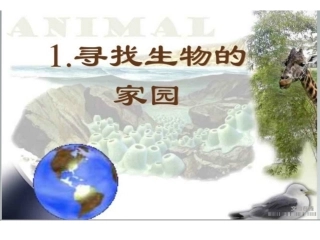 新建寻找生物的家园演示文稿