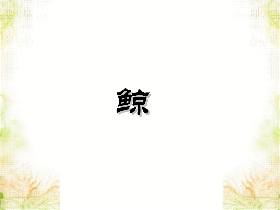 《鲸》课件3.ppt.ppt_第1页