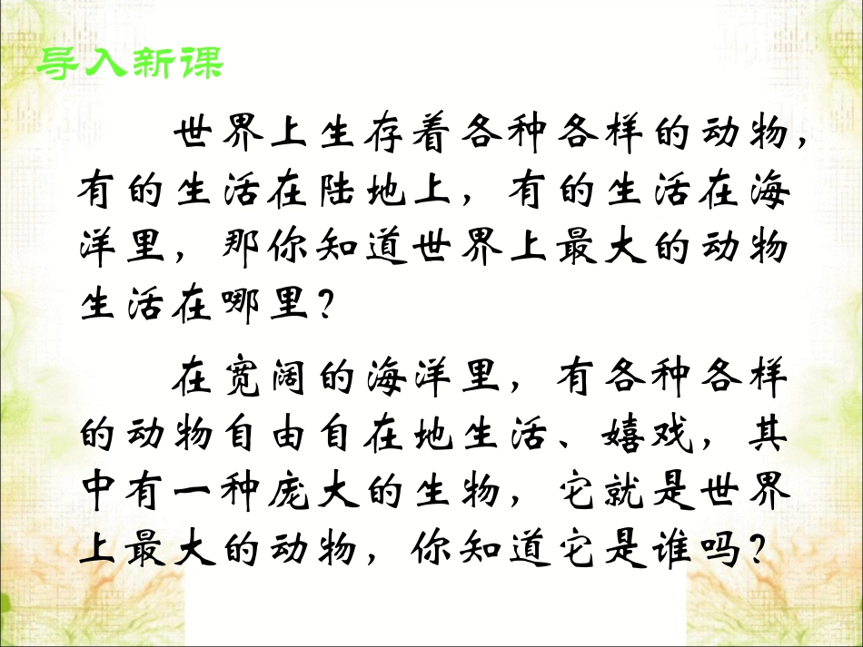 《鲸》课件3.ppt.ppt_第2页