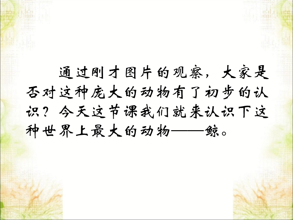 《鲸》课件3.ppt.ppt_第3页
