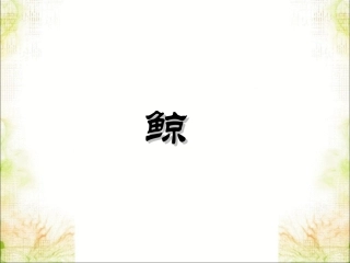 《鲸》课件3.ppt.ppt