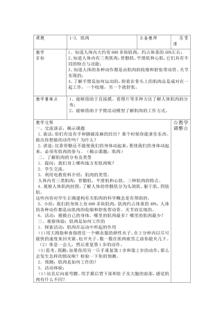 四下1-3肌肉-(2)