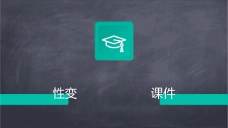 产科 女性生殖系统生理卵巢周期性变化及功能护理课件1