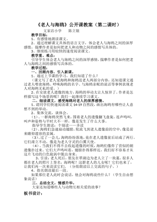 老人与海鸥jiaoan