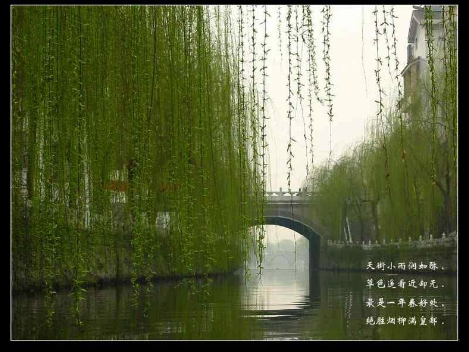 16《大自然的语言》4_第1页
