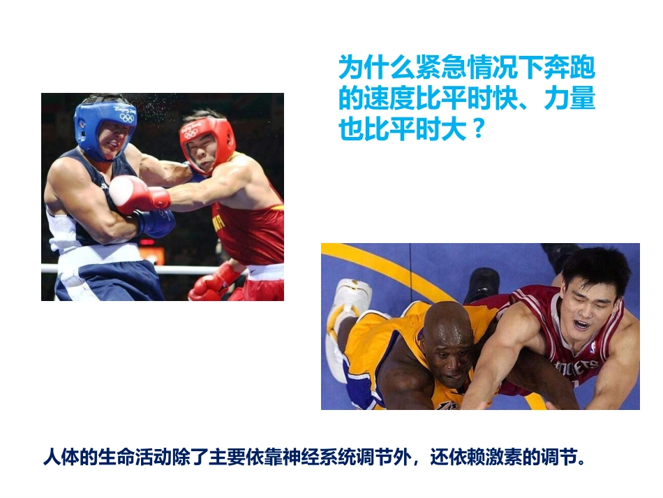 第三节人体生命活动的激素调节_第2页