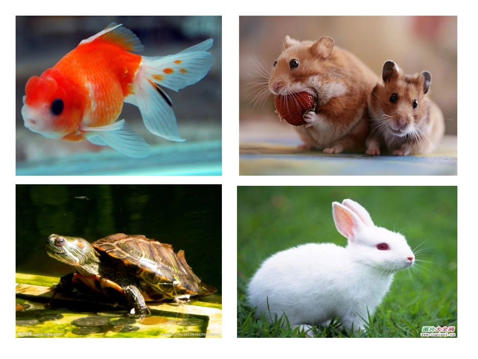 10可爱的祖国_第3页