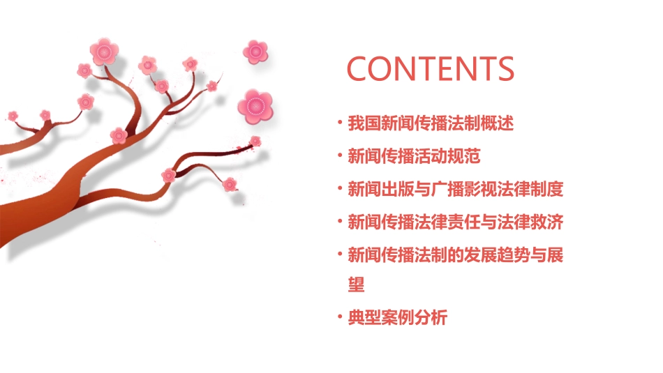 我国新闻传播法制内容概要课件_第2页