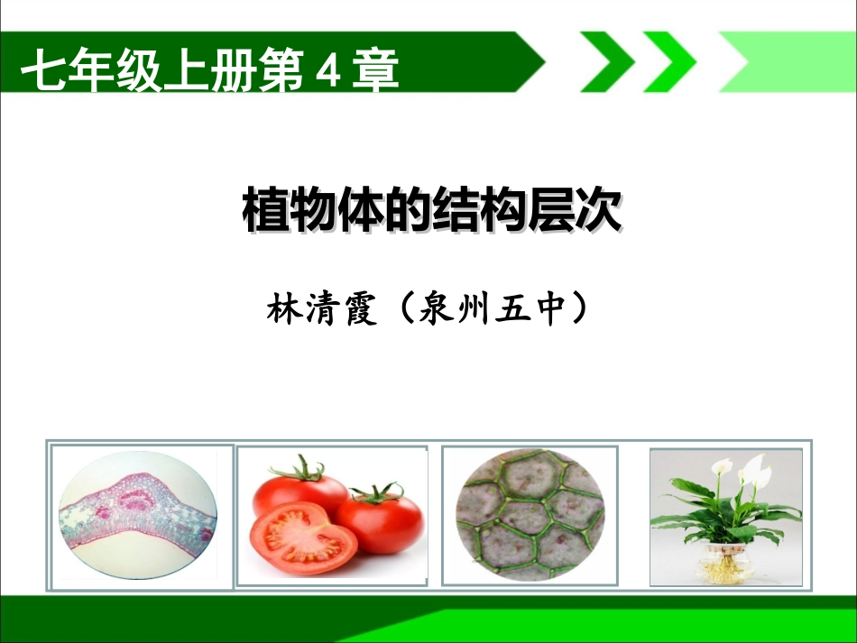 第1节细胞分化形成组织-(3)_第1页