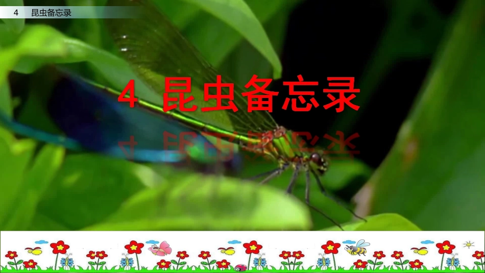 4昆虫备忘录_第2页