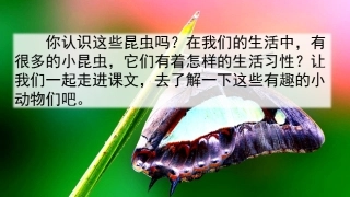 4昆虫备忘录