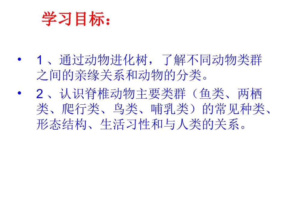 动物的主要类群(二)_第2页