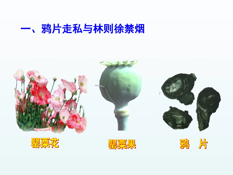 第1课鸦片战争-(5)_第2页